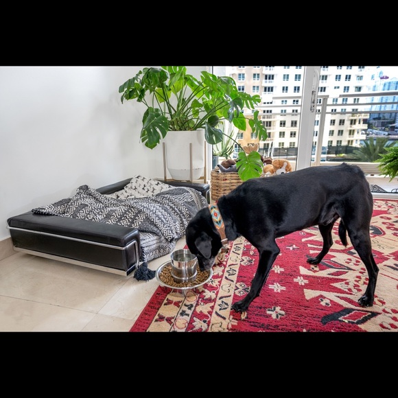 UNIBOWL all in one food and water dog bowl small & large - Picture 2 of 7